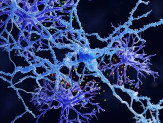 Shikast yetgan miyani davolashga yordam beradigan hujayralarning yangi turi aniqlandi