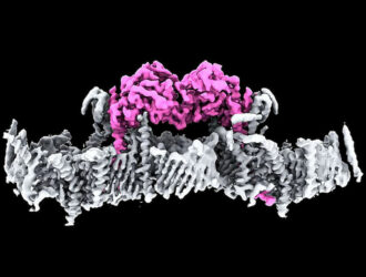Parkinson kasalligini erta tashxislash usuli ishlab chiqildi
