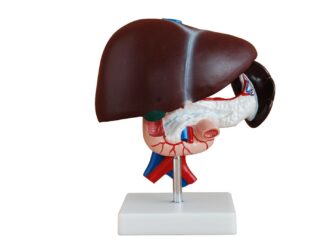 Jigar kasalliklarini operatsiyasiz davolash usuli topildi