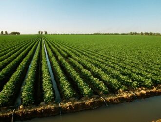 Irrigatsiya tarmoqlarini ta’mirlash uchun yiliga kamida 1,3 trillion so‘m ajratiladi