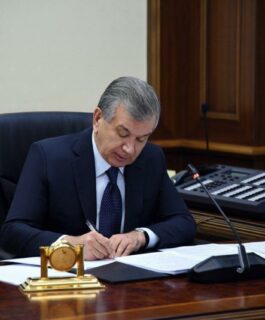 Sunʼiy intellekt loyihalarini moliyalashtirish uchun qoʻshimcha 100 million dollar ajratiladi