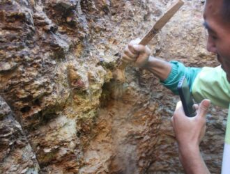 Qoraqalpog‘istonda 75 million yil avval yashagan dinozavr qoldiqlari topildi