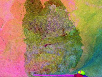 Ko‘ktonli neolit yodgorligida yangi topilmalar aniqlandi