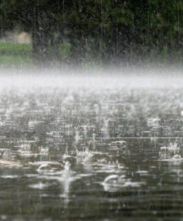 O‘zbekistonda sun’iy yomg‘ir yog‘dirish bo‘yicha pilot loyiha ishga tushiriladi