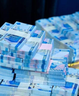 O‘zbekistonda yoshlar biznesi uchun 2 mlrd so‘mgacha kredit ajratiladi