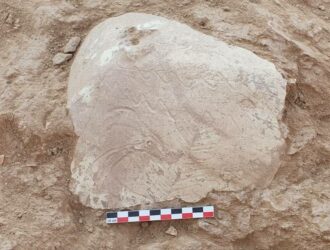 Qashqadaryoda qadimiy altar va noyob ostodon topildi
